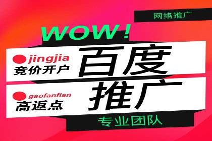 顶尖SEM竞价代运营公司案例分析